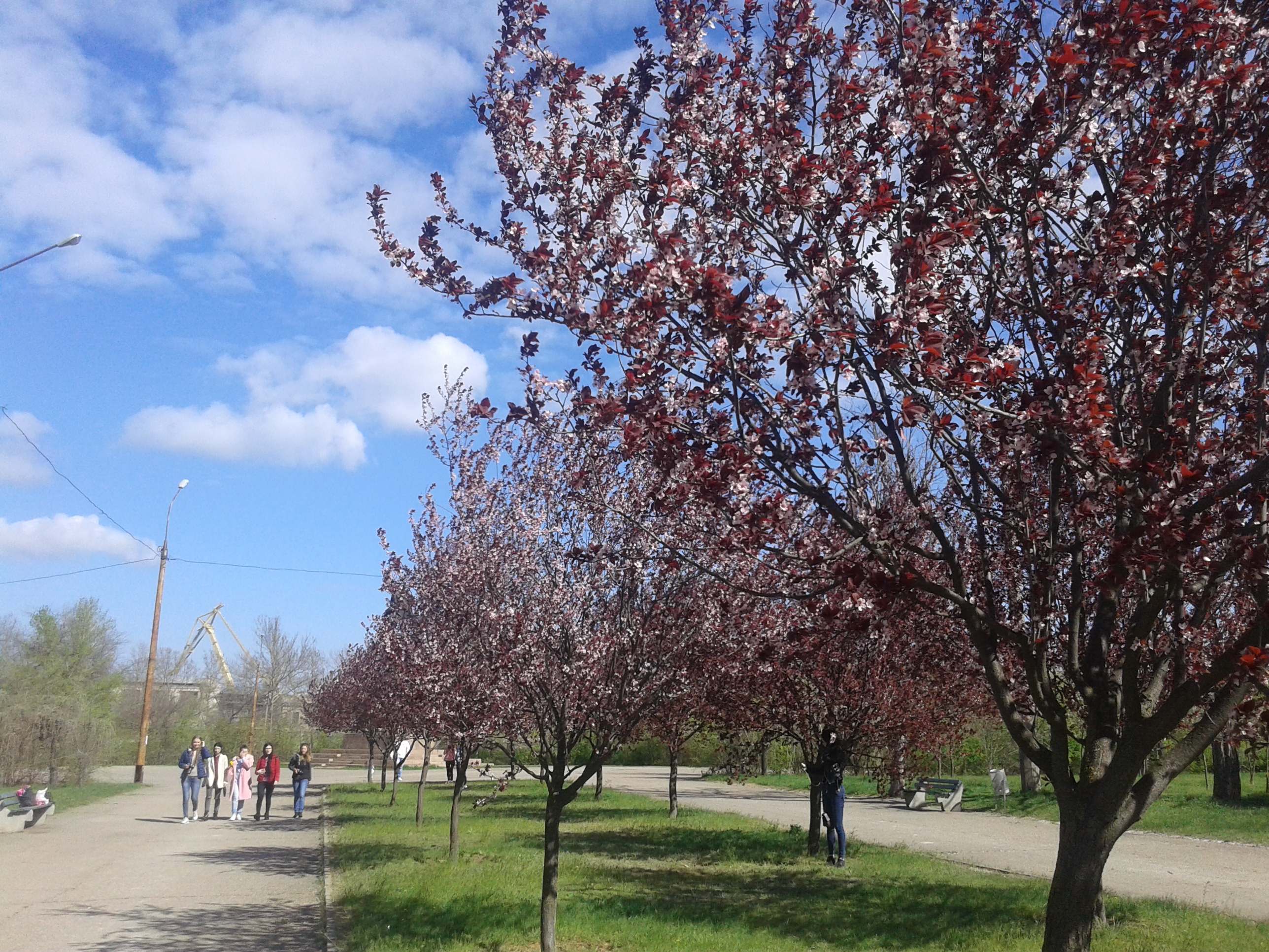 парки города Николаева
